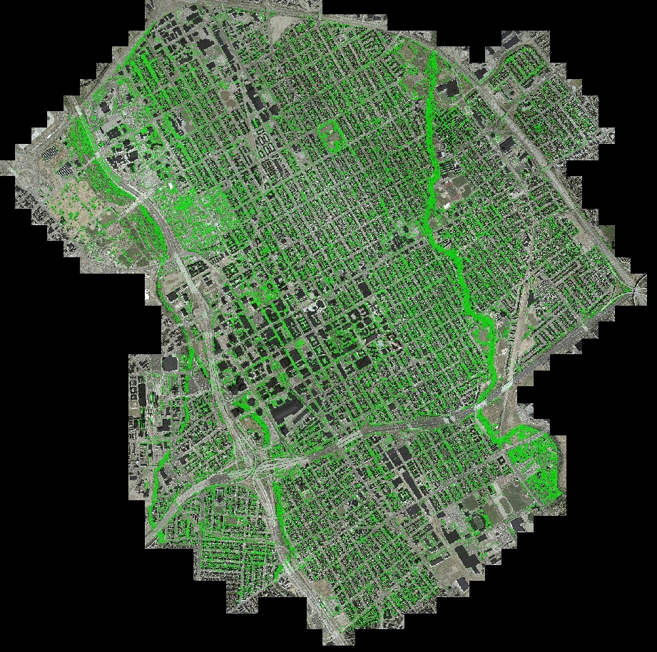Digital map of the Garden to Table project area in San Jose overlaid with the Fruit Tree Canopy layer.