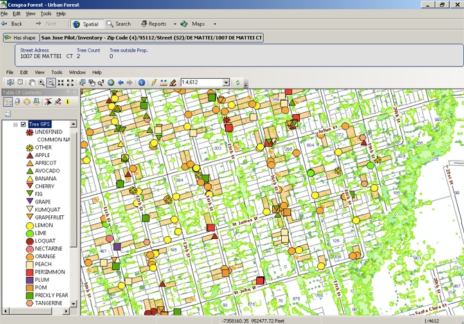 Cengea Urban Forest displays Garden to Table fruit tree locations on a parcel base map layer.
