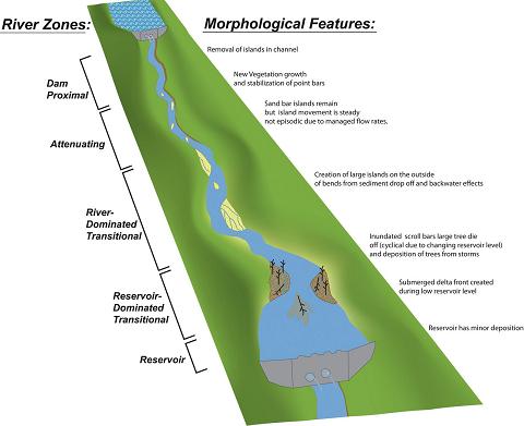 The diagram correlates the river zones created by large dams (shown on left) to the morphological features (described on right) that each zone influences.  