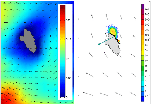 At left, Ocean current forecast for the Giglio island area based on high resolution satellite data. At right, the surface oil concentration in tons/km² predicted for the area around Costa Concordia. Having scenario predictions available allows authorities to better plan risk mitigation measures. Source: MyOcean courtesy of INGV