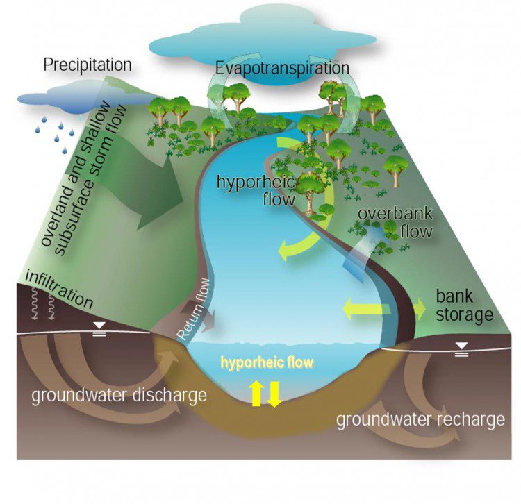 The river corridor includes surface and subsurface sediments beneath and outside the wetted channel. Greater interaction between river water and sediment enhances important chemical reactions, such as denitrification, that improve downstream water quality.