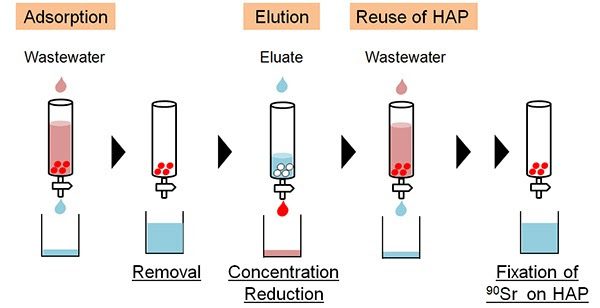 Fig. 3 Concentration and volume reduction of wastewater and fixation of90Sr on HAP particles for the storage as dry solid waste.