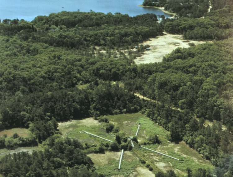This aerial image of the Joint Base Cape Cod shows the wastewater infiltration beds in the middle that are monitored for anammox , the nitrogen-contaminated disposal beds in the middle, and a freshwater pond in the background. 